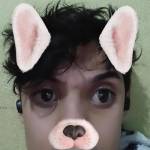 Topxibinha